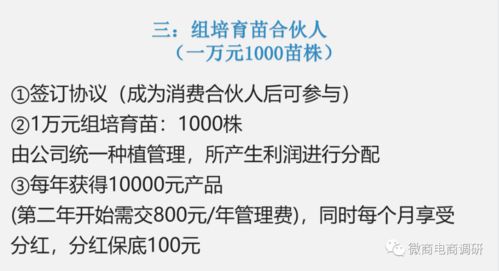 鸿信源代理制度详解 如何通过代用茶宣传提升免疫力并实现创业共赢